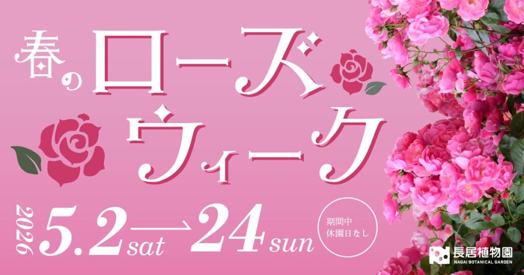 【5月2日開幕】長居植物園 ローズウィーク 2026は平日午前が見やすい